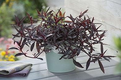 缉毒题材互动影像作品《晨昏线》PV首曝：双重视角、还原真实卷宗