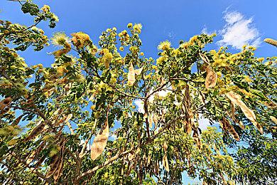 夏日游戏节索尼还有新作？多家媒体已预约体验